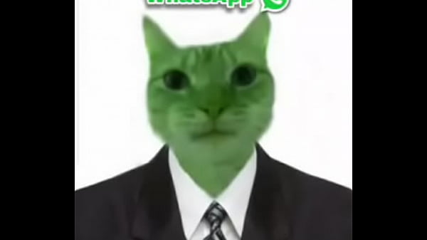 Hay un gato verde y arriba dice WhatsApp osea la cosa mas épica del mundo